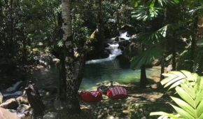 Daintree Secrets Rainforest Sanctuary